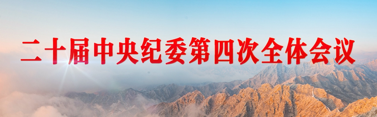 二十届中央纪委第四次全体会议